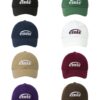 EMIS NEW LOGO EMIS CAP(RENEWAL)