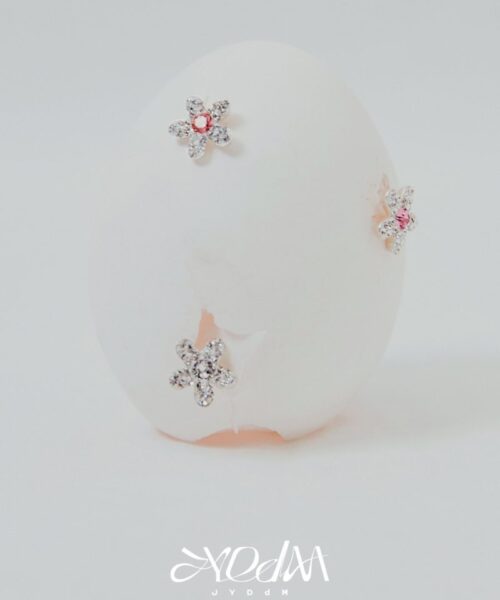 JYDDM 925 FLOWER CUBIC EARRING (IU PICK)-2col