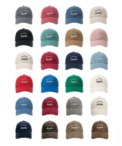 AEYIO STUDIO NEW LOGO BALL CAP-24 COLORS